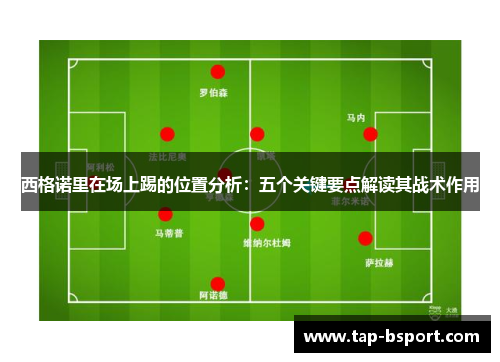 西格诺里在场上踢的位置分析：五个关键要点解读其战术作用