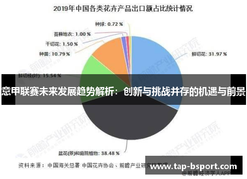 意甲联赛未来发展趋势解析:创新与挑战并存的机遇与前景 意甲联赛未来发展趋势解析:创新与挑战并存的机遇与前景