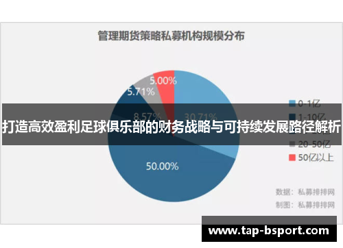 打造高效盈利足球俱乐部的财务战略与可持续发展路径解析