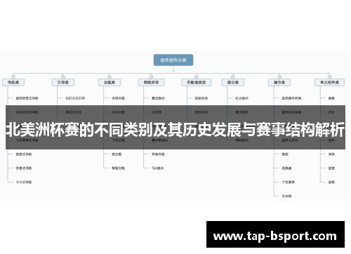 北美洲杯赛的不同类别及其历史发展与赛事结构解析 北美洲杯赛的不同类别及其历史发展与赛事结构解析