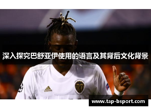 深入探究巴舒亚伊使用的语言及其背后文化背景 深入探究巴舒亚伊使用的语言及其背后文化背景