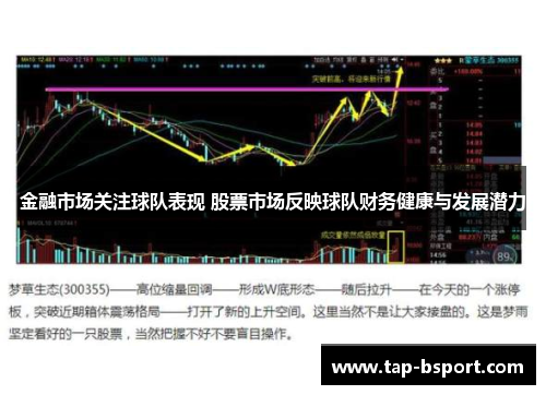 金融市场关注球队表现 股票市场反映球队财务健康与发展潜力