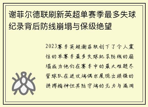 谢菲尔德联刷新英超单赛季最多失球纪录背后防线崩塌与保级绝望